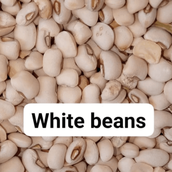 White (Iron) beans