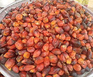 Palm fruits (Banga seed) Banga source