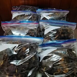 Snail a pack of 6 Snail a pack of 6