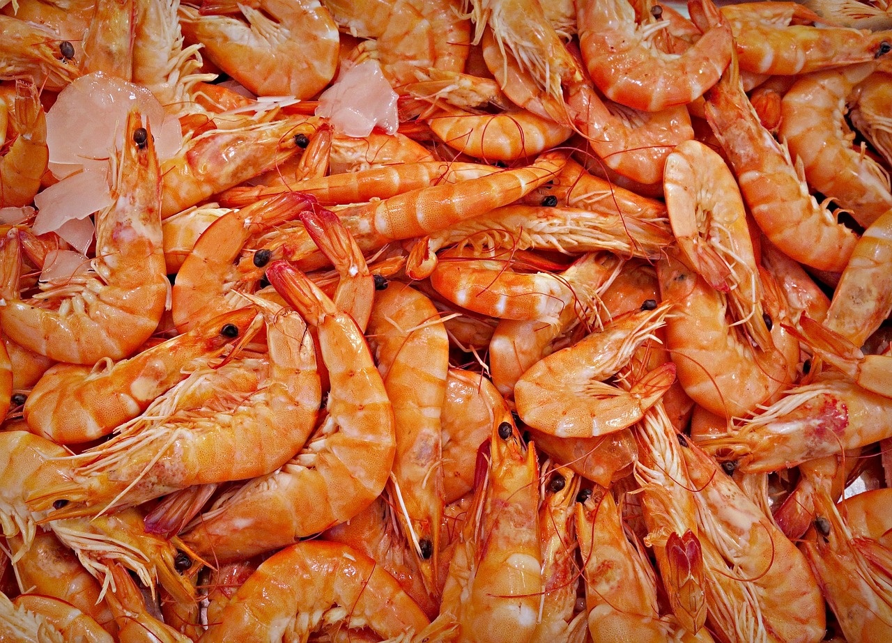 Prawn 250g